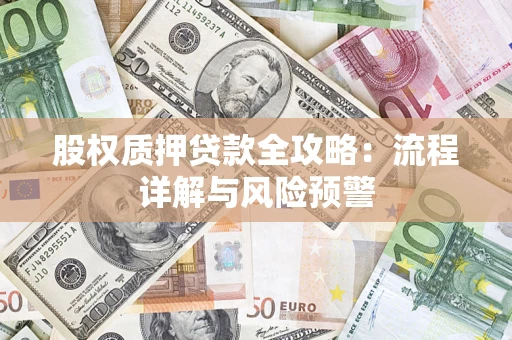 武汉股权质押贷款全攻略：流程详解与风险预警