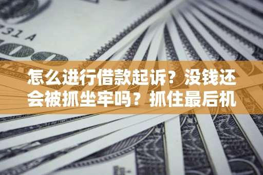 武汉怎么进行借款起诉？没钱还会被抓坐牢吗？抓住最后机会！