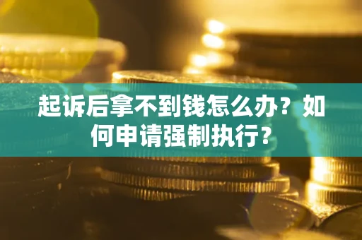 武汉起诉后拿不到钱怎么办？如何申请强制执行？