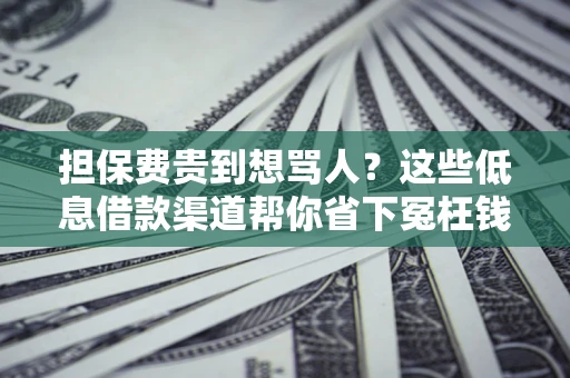 武汉担保费贵到想骂人？这些低息借款渠道帮你省下冤枉钱