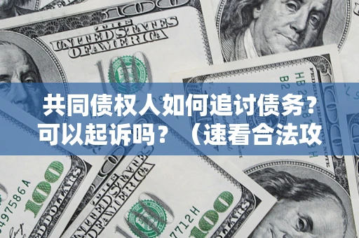 武汉共同债权人如何追讨债务？可以起诉吗？（速看合法攻略）