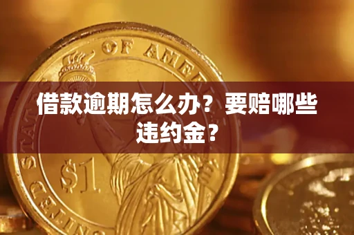 武汉借款逾期怎么办？要赔哪些违约金？