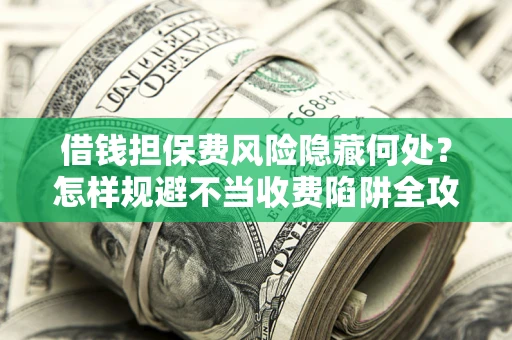 武汉借钱担保费风险隐藏何处？怎样规避不当收费陷阱全攻略！