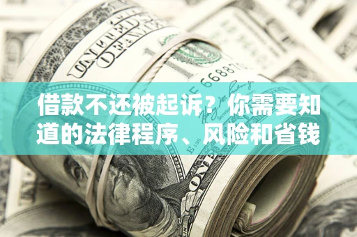 武汉借款不还被起诉？你需要知道的法律程序、风险和省钱技巧